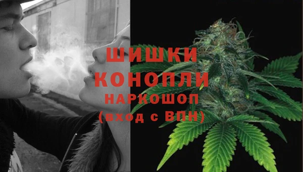 твердый Аркадак