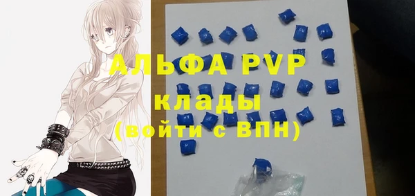 твердый Аркадак